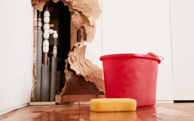 What Happens During the Emergency Water Damage Restoration Process in Greenwood, IN?
