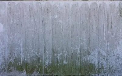 10 Things You Need To Know About Crawl Space Humidity