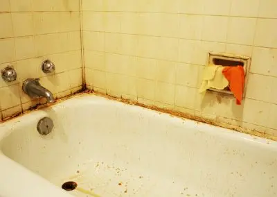 Residential Mold Removal Black mold removal in bathroom