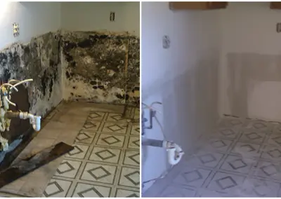 Bathroom wall mold removal