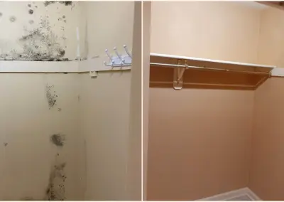 Residential Mold Removal mold removal from closets