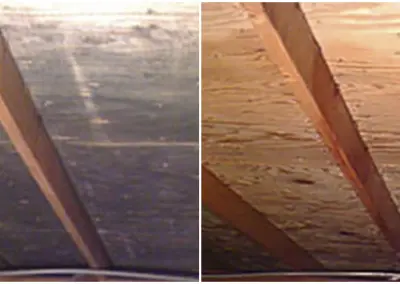Attic mold removal services