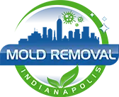 Mold Removal Indianapolis