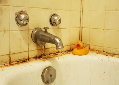 bathroom mold remediation