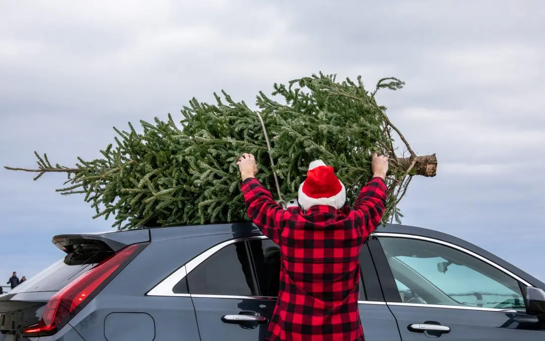 Top 5 Auto Repair Services to Get Your Car Ready for the Holidays