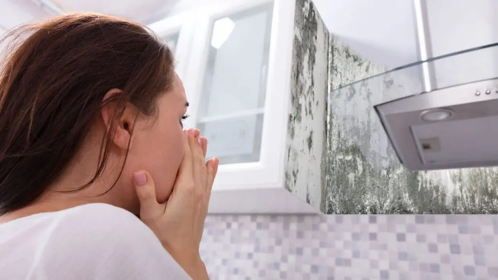 Mold Prevention