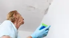 Mold After a Water Leak