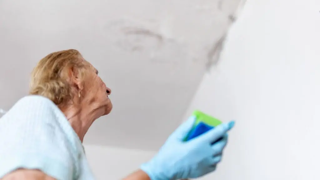 Mold After a Water Leak