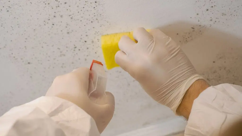 Mold Prevention