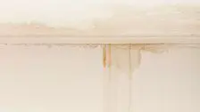 water leak detection swisher ia