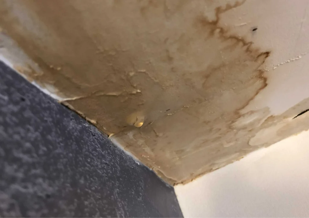 Water Damage Restoration