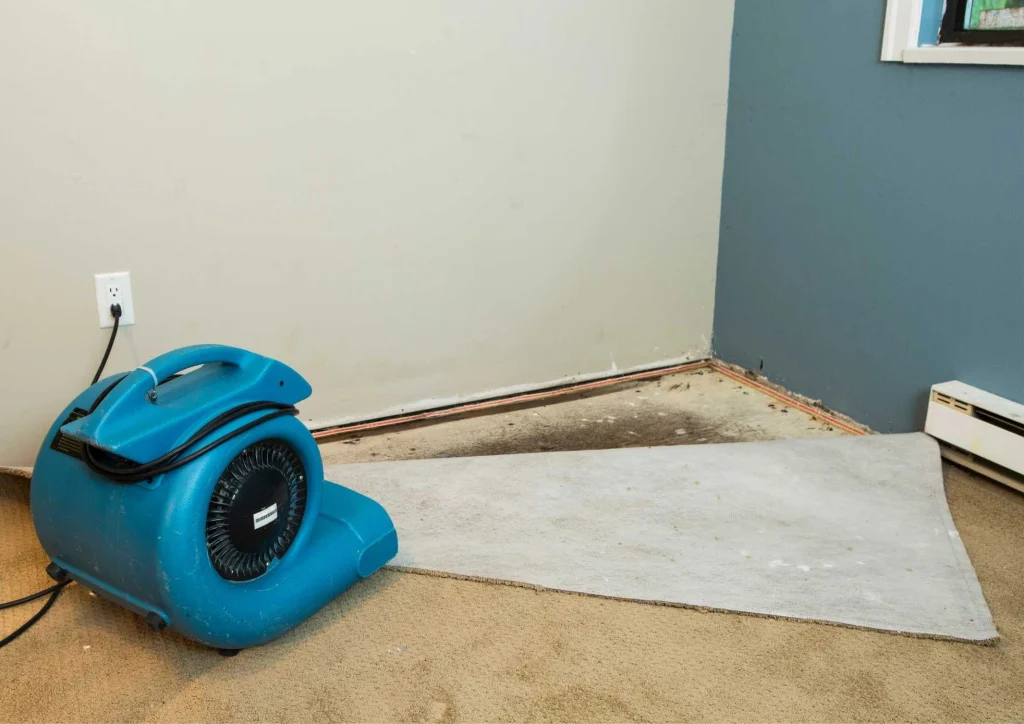 Water Damage Restoration