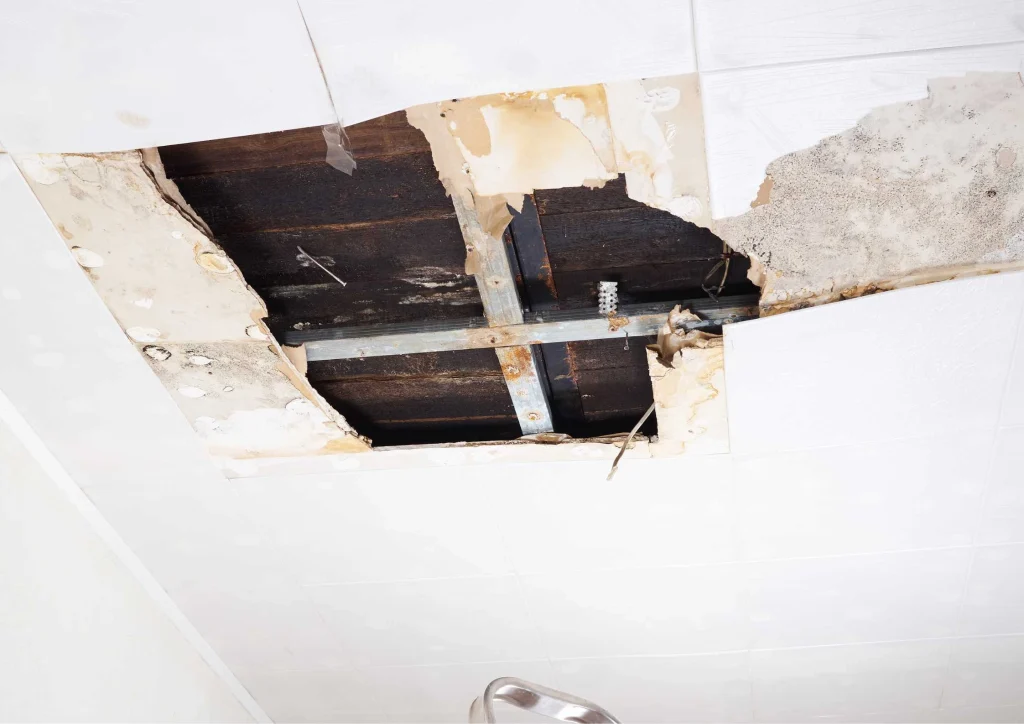 water damage restoration