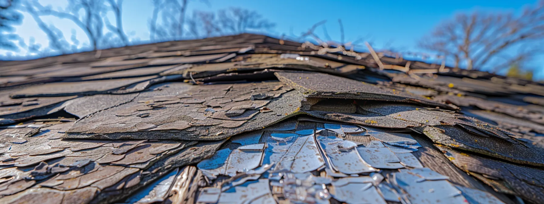Causes of Premature Roof Failure in Springfield, IL Premature roof failure Springfield IL — visible shingle damage signaling roof failure