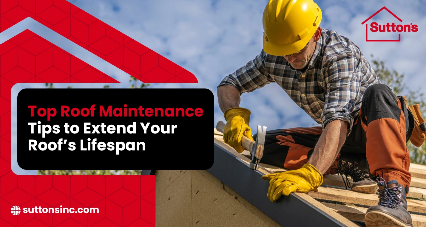 roof maintenance tips