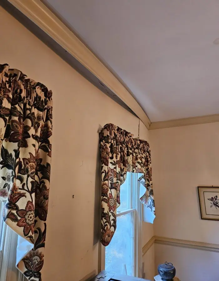 Dining room wall buckled due to tree intrusion