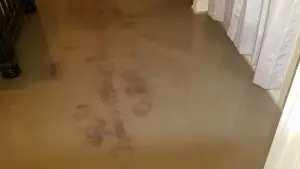 basement flooding prevention bossier city la