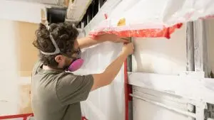 Mold Remediation after humid summer