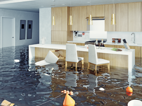 Restoration Xperts - Homepage