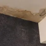 Water Damage Cleanup