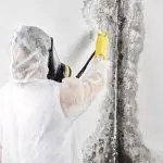affordable mold cleanup cedar city ut