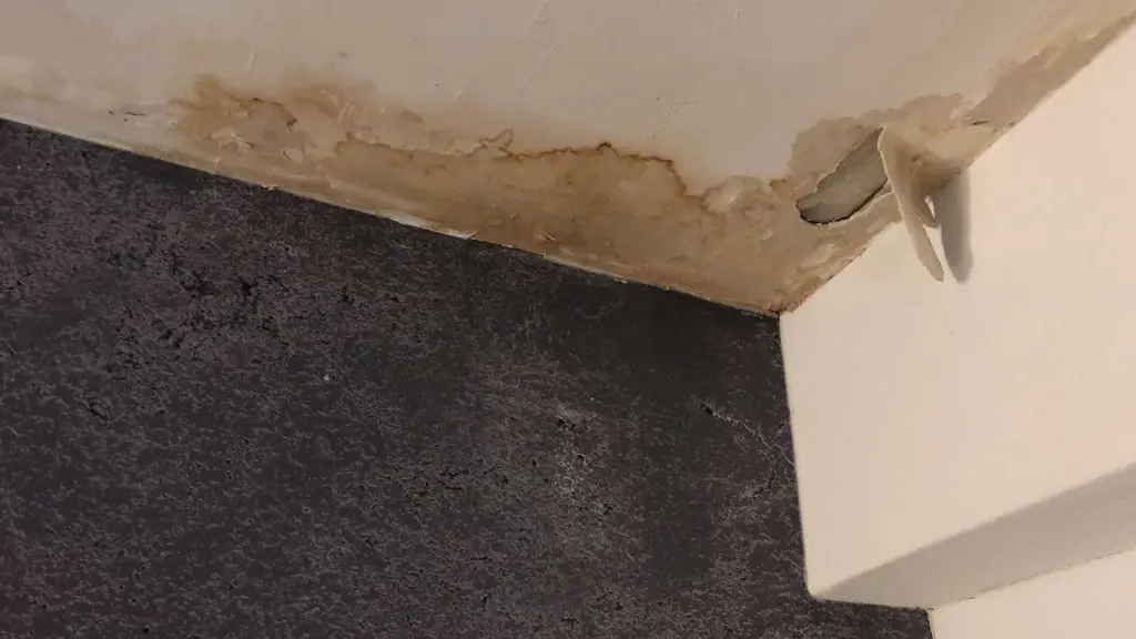 Water Damage Cleanup