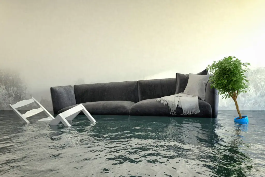 Ally 1 Disaster Solutions - What Should I Do Immediately After My House Floods?
