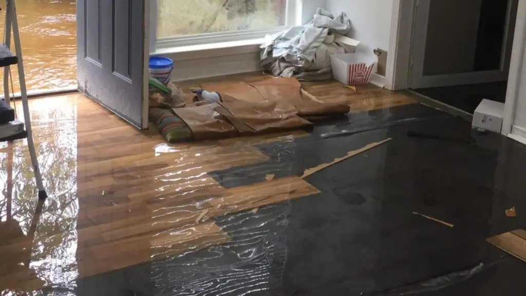 Ally 1 Disaster Solutions - What Are the Most Common Causes of Residential Water Damage in St. George, UT?