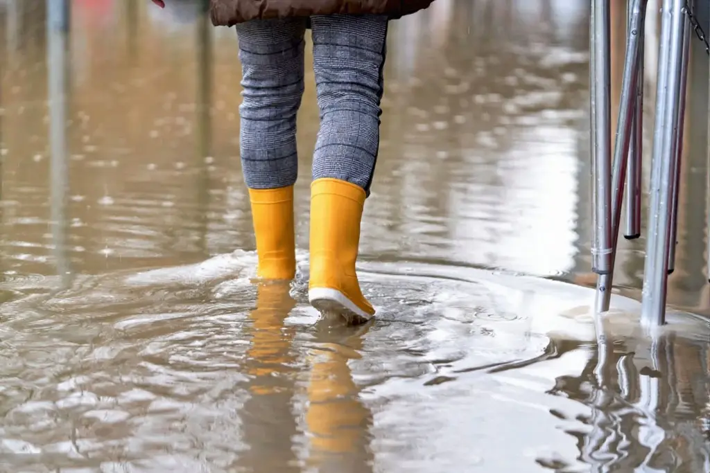 Ally 1 Disaster Solutions - A Homeowner's Guide to Flash Flood Preparation in St. George, Utah
