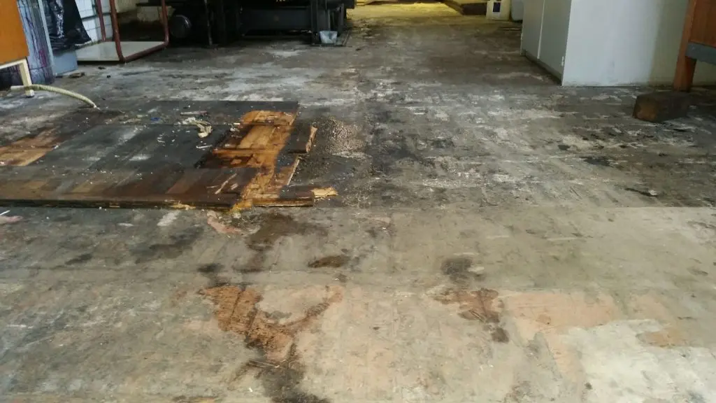 Ally 1 Disaster Solutions - Top Water Damage Restoration Services Every Homeowner Should Know