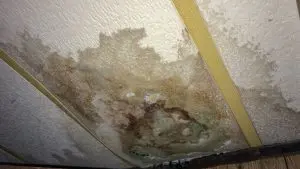 professional water damage restoration