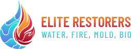 logo footer