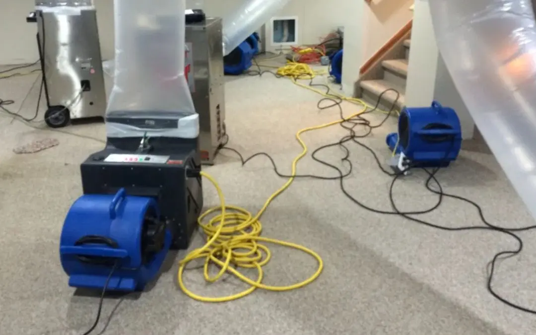 Why Is Emergency Water Damage Restoration Essential in West Palm Beach After a Flood?
