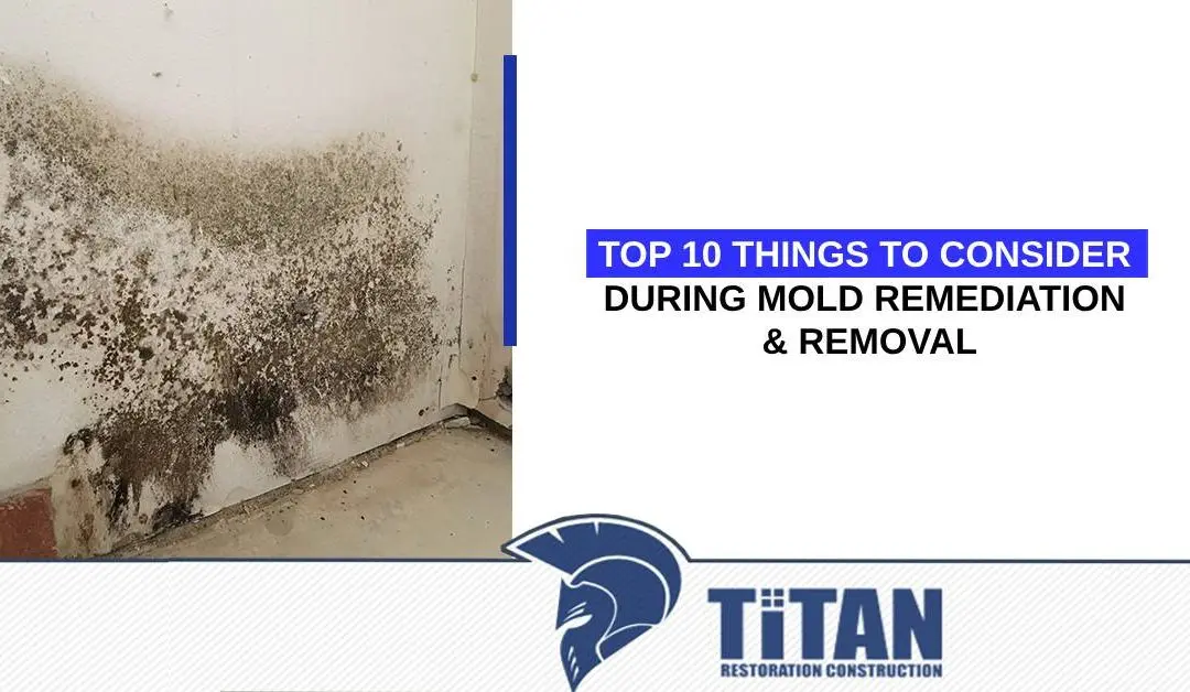 Top 10 Things to Consider During Mold Remediation & Removal