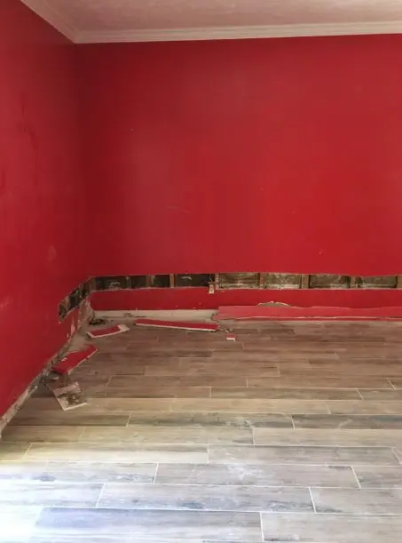 detailed picture of mold inside drywalls