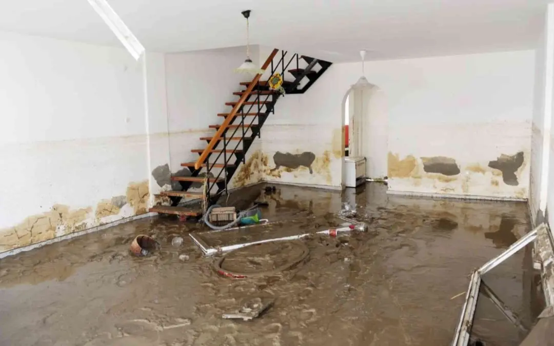 How Much Does Flood Damage Restoration Cost in West Palm Beach, FL?
