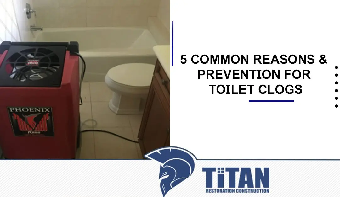 5 Common Reasons & Prevention For Toilet Clogs