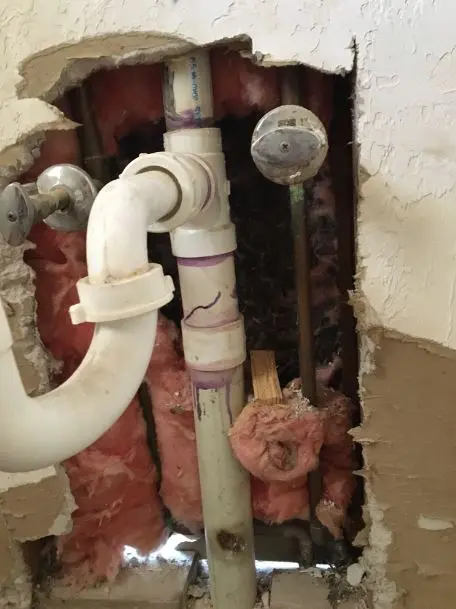 Mold inside piping system in a house in Jupiter