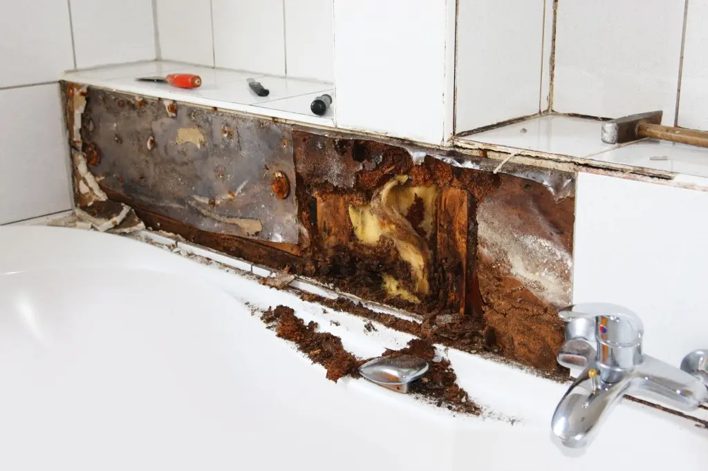 Jupiter Flooding, Mold Inspection Palm Beach Gardens, Titan Restoration Construction
