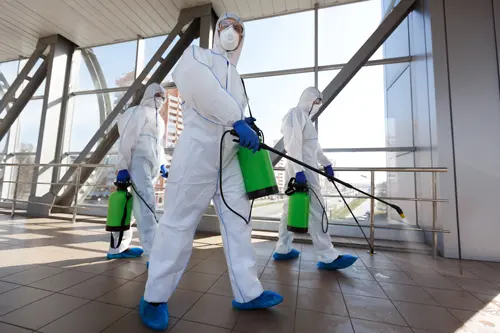 coronavirus sanitization