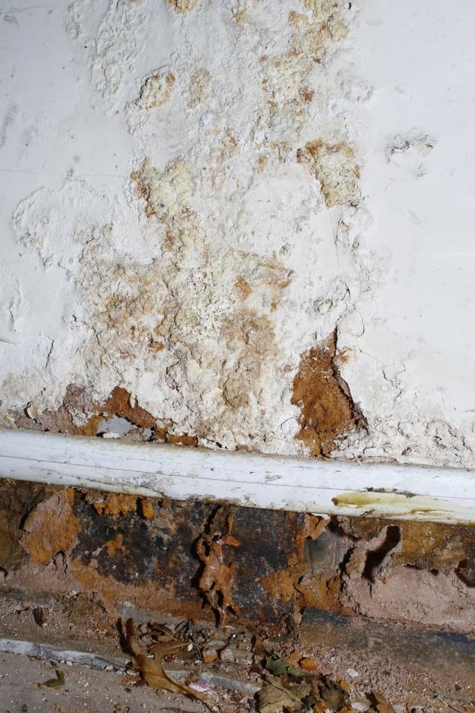 Jupiter Flooding, Mold Inspection West Palm Beach, Titan Restoration Construction