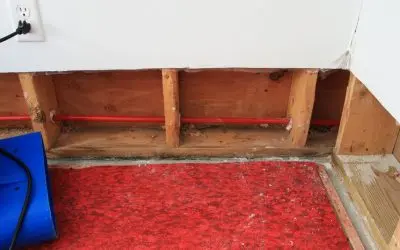 Water Damage Repair or Replacement? How Titan Restoration Helps West Palm Beach Homeowners Decide
