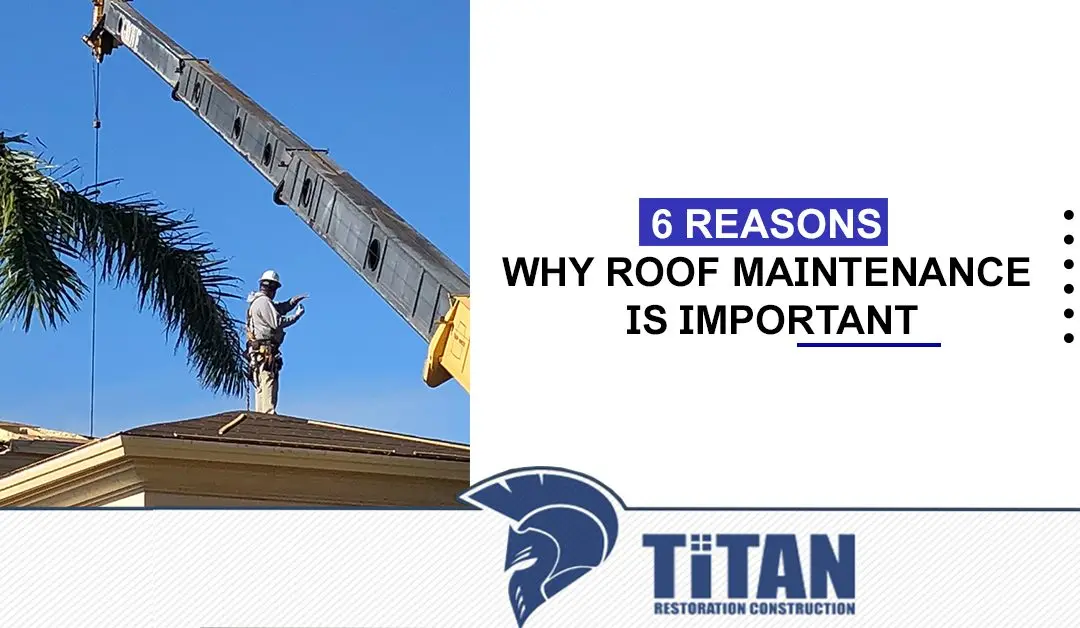 6 Reasons Why Roof Maintenance Is Important