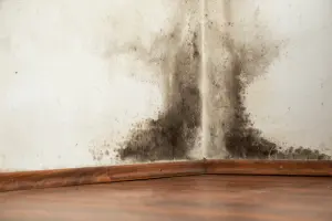 , Factors to Consider When Selecting the Best Water Damage Restoration Company, Titan Restoration Construction