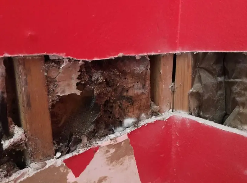 , Why DIY Mold removal is not safe, Titan Restoration Construction Hidden mold