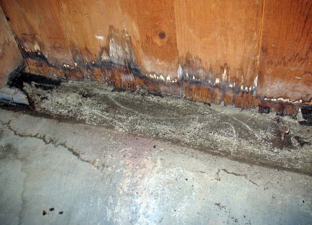 Water Damage Jupiter, Water Damage Jupiter, Titan Restoration Construction