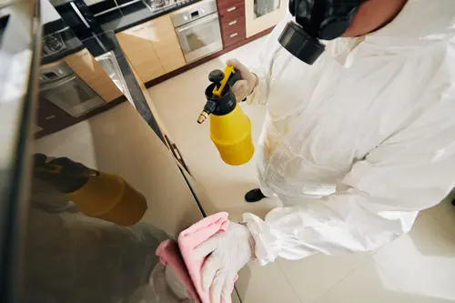 coronavirus house disinfection