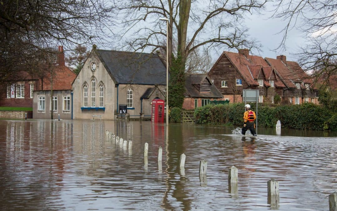 Combating Flood Damage: What to Expect from Professional Water Damage Restoration Services
