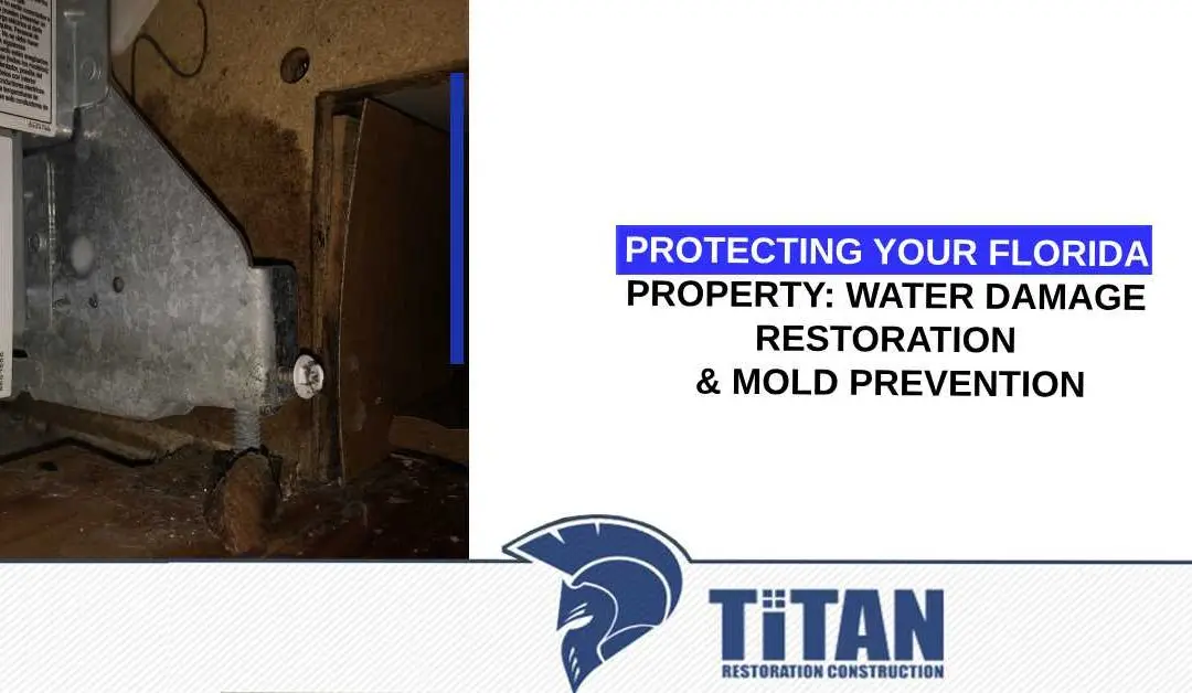 Protecting Your Florida Property: Water Damage Restoration & Mold Prevention
