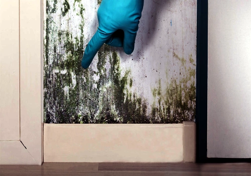 homeowners insurance